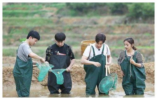 向往的生活5在线观看,田园生活新篇章,在线观看带你体验乡村魅力 第2张 向往的生活5在线观看,田园生活新篇章,在线观看带你体验乡村魅力 第2张