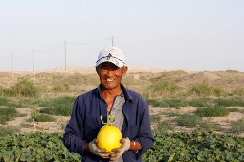 武威免费吃瓜,畅享清凉夏日好时光  第2张